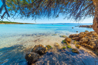 Scenic view of sea against clear sky