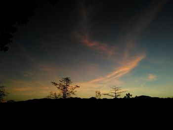 Silhouette trees on field against sky at sunset