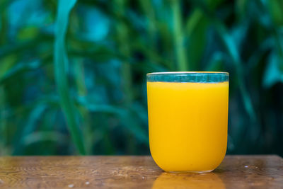 Close-up of drink on table