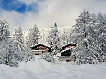 snow