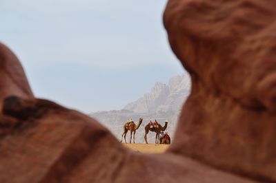 Man riding camel on rock against sky