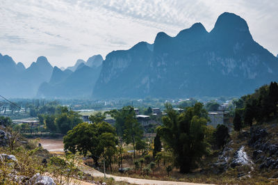 View of trees with mountain range in background