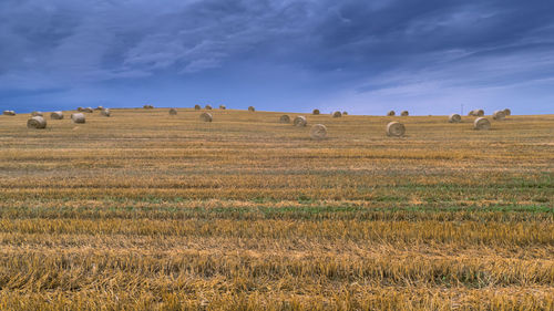 Hay bales on field against sky