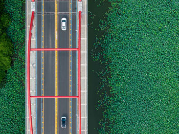 Modern bridge over green plant, top down view