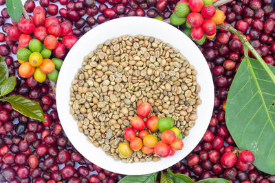 Directly above shot of fruits in bowl