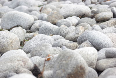 Full frame shot of pebbles