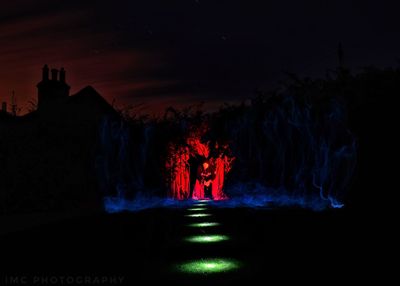 Illuminated trees against sky at night