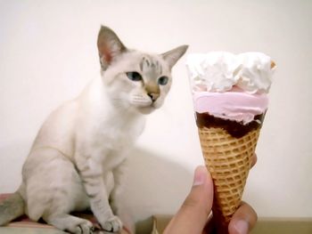 Close-up of hand holding ice cream