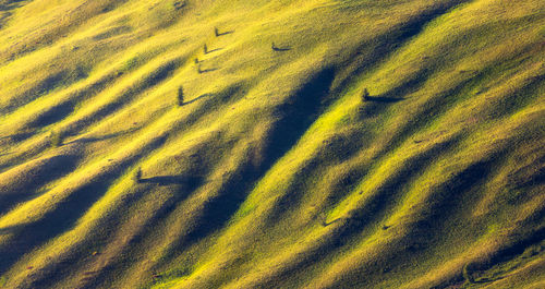 Full frame shot of yellow shadow on sand