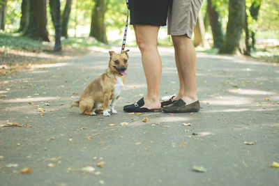 Low section of people with dog standing on road