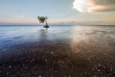 Scenic view of sea against sky