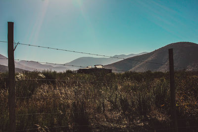 Scenic view of field against clear sky