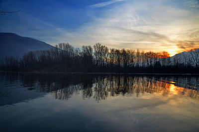 Reflection of bare trees in calm lake