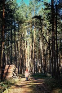 Rear view of people walking on dirt road in forest