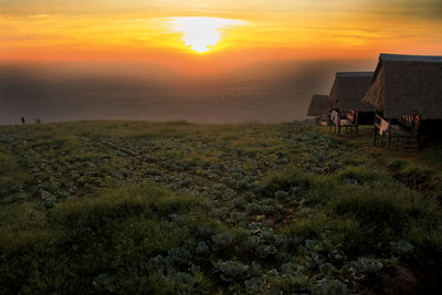 Scenic view of field against sky during sunset