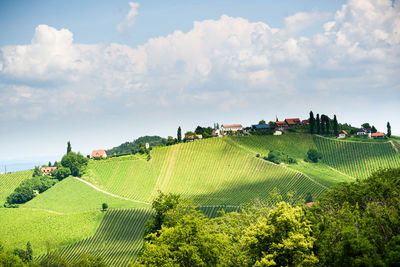 Panoramic shot of agricultural field against sky