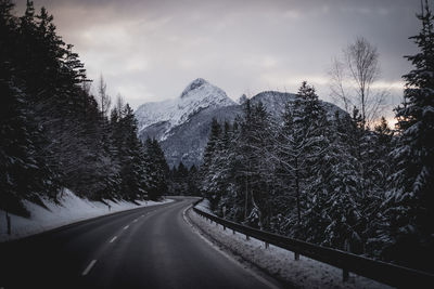 Road amidst trees against sky during winter