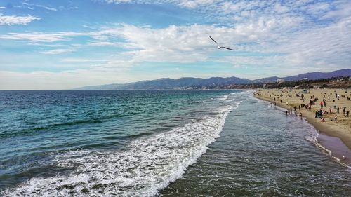 Birds flying over sea against sky