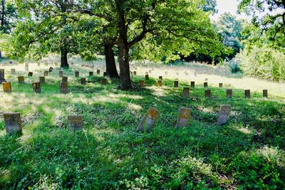 View of cemetery