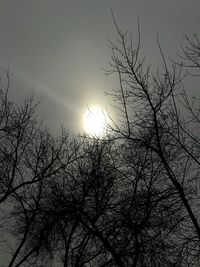 Low angle view of silhouette trees against sky during sunset