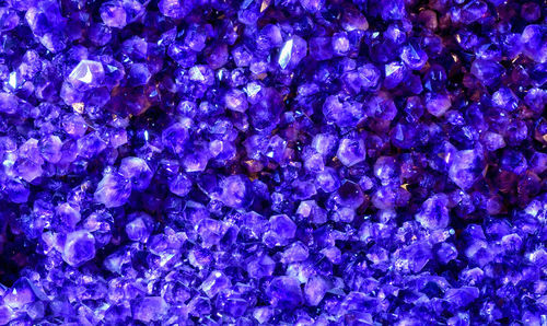 Full frame shot of purple blue flowers