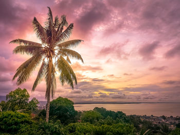 Palm tree by sea against romantic sky at sunset