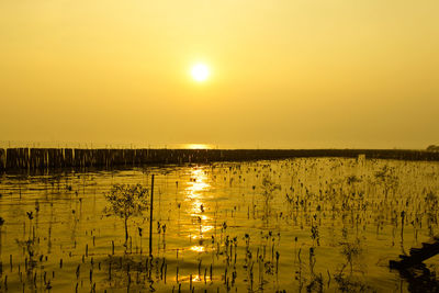 Scenic view of lake against sky during sunset