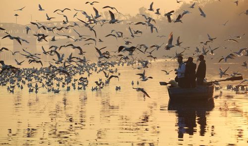 People in boat with birds flying over lake against sky during sunset