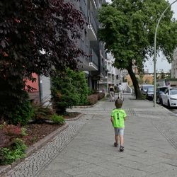 Rear view of boy walking on road