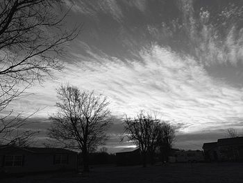 Bare trees against sky at sunset