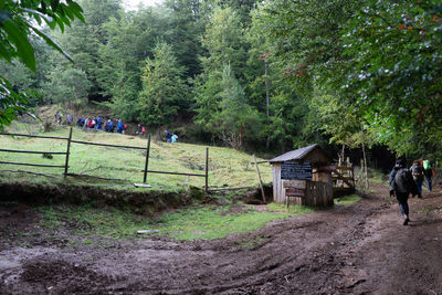 Group of people in the forest