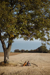 Scenic view of agricultural field against sky