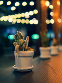 Close-up of potted plant on table in cafe