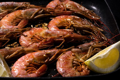 High angle view of prawns