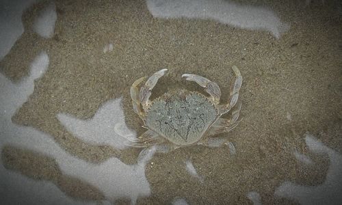 High angle view of sand on beach