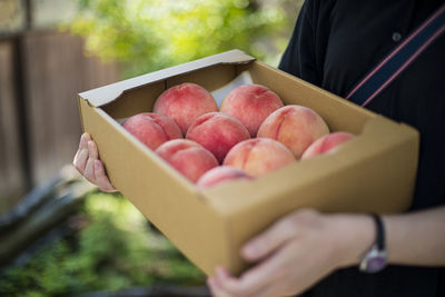 Cropped image of hand holding peachs in box