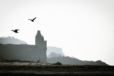 Birds flying over mountain against clear sky