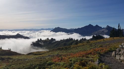 Over the clouds in mt. rainier np - panoramic view of landscape against sky