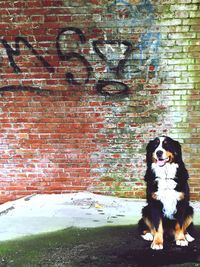 Full length of young man standing on brick wall