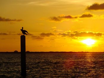 Scenic view of sea at sunset