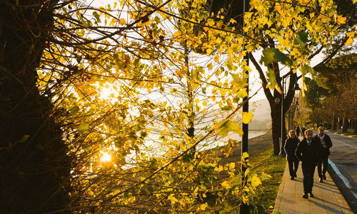People walking on tree