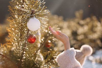 Close-up of christmas tree
