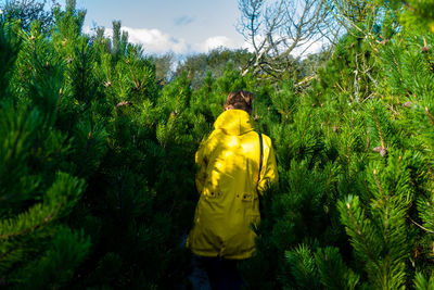Rear view of man standing on field