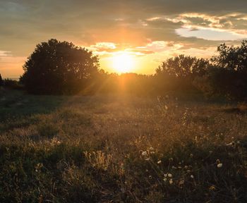 Scenic view of field against sky during sunset