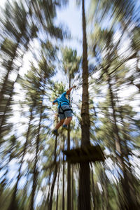 Low angle view of bird in a forest