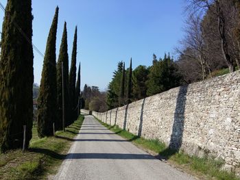 Road amidst trees against clear sky