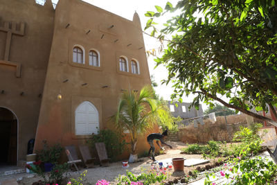 Potted plants outside building