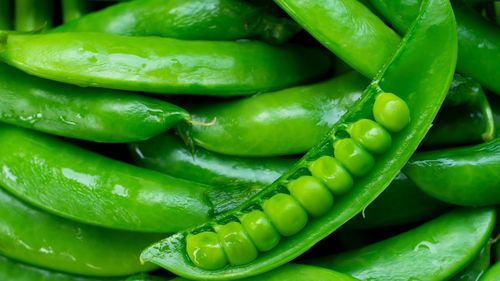 Full frame shot of green chili peppers