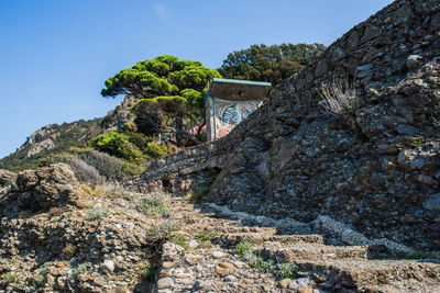 Low angle view of trees on cliff