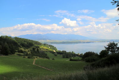 Scenic view of field against sky